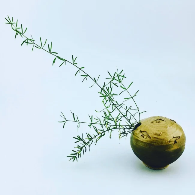 149995EE-62A0-42CF-8A24-8175D3B3B2DB-1920w