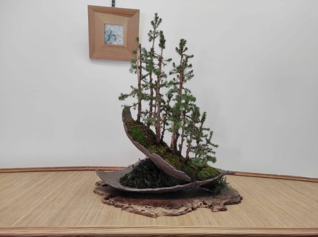 33ef23d4-ae45-4f96-b94b-1a75e577d48f-1920w