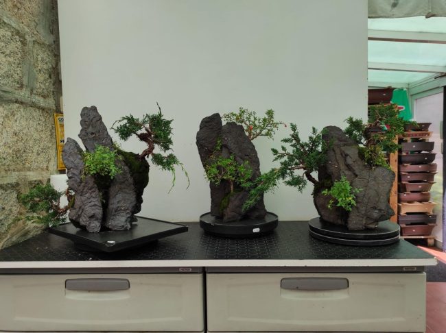 5a1c85bb-be88-4b1d-865e-28269e60d415-1920w