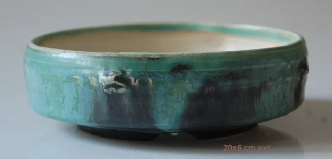 DSC_0186-1920w-1920w