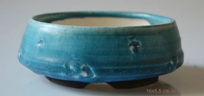 DSC_0195-1920w-1920w