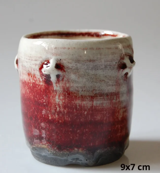 DSC_0238-30eb2d34-1920w