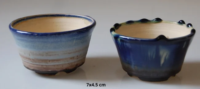 DSC_0881-6f98bc3f-1920w