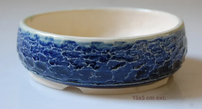 DSC_0907-1920w-1920w