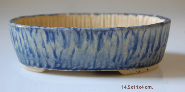 DSC_0910-1920w-1920w