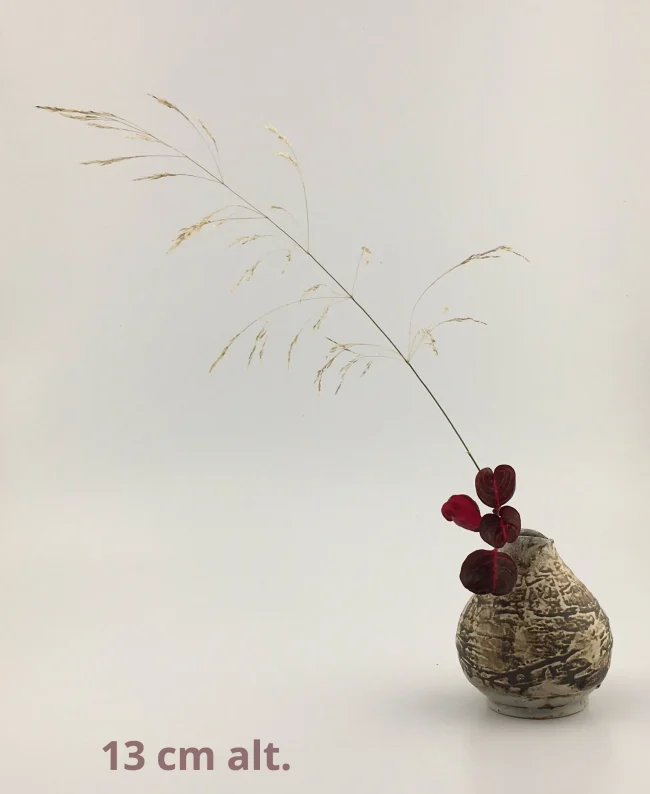 IMG_1771-792477a0-1920w