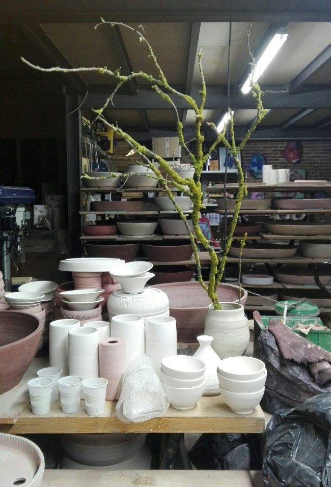 IMG_20181123_071220+co-pia-1920w