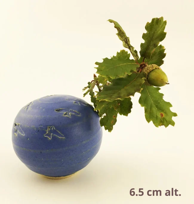 IMG_2587-1920w-1920w