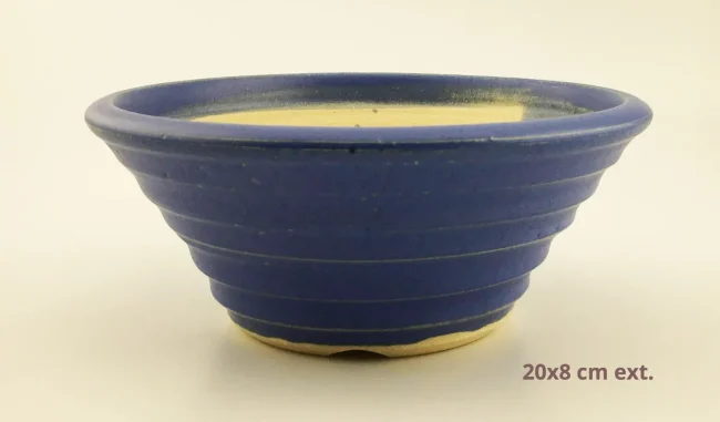 IMG_2642-1920w-1920w