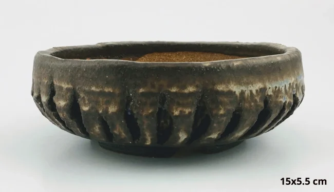 IMG_2984-4a3d69dc-1920w