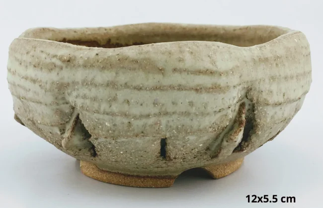 IMG_2988-f2fc8127-1920w