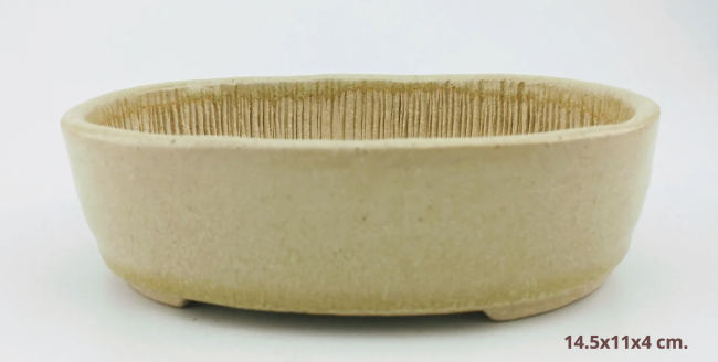 IMG_3007-1920w-1920w