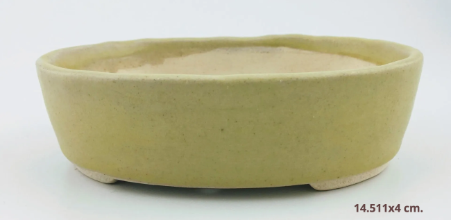 IMG_3008-1920w-1920w