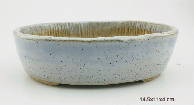 IMG_3009-1920w-7c6f978d-1920w