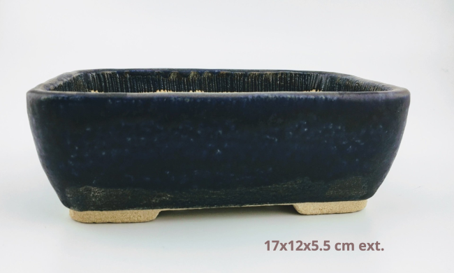 IMG_3019-6605939f-2a4f3bf4-1920w