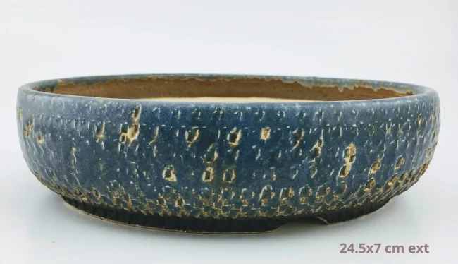 IMG_3033-a27b87b5-1920w-1920w