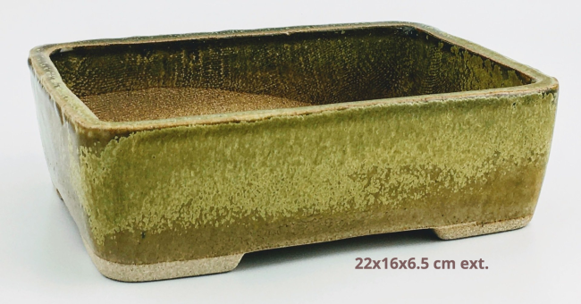 IMG_3881-81bc80c5-af896b50-1920w