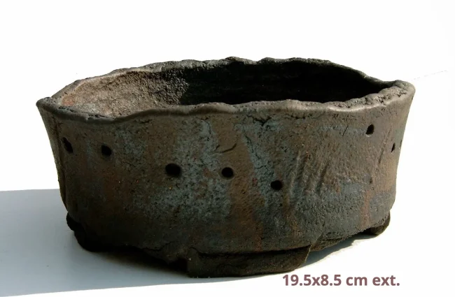 S4100002-copy-1920w-1920w