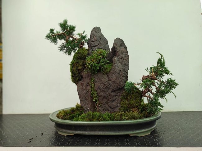 c1f99849-1efe-421a-80ba-d119d98f2449-1920w