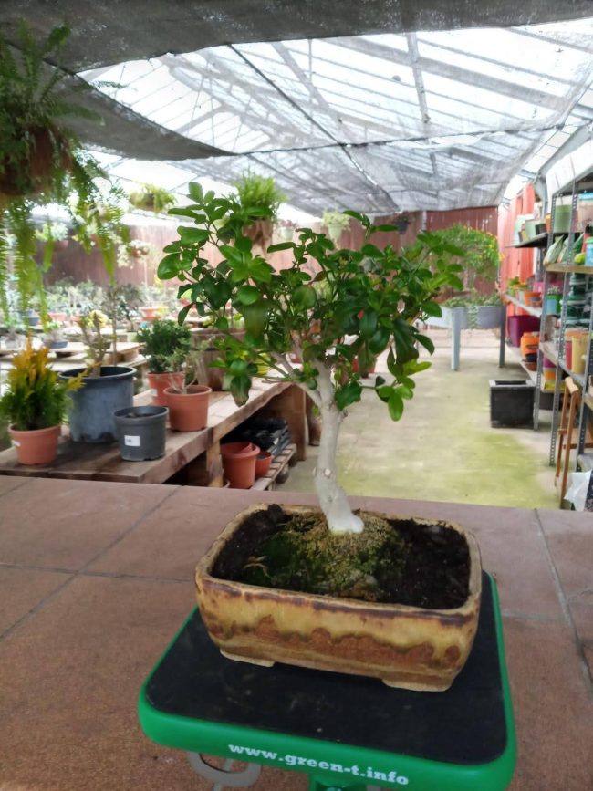 e2a8b65b-e094-488e-8f7f-ac3267d60d52-1920w